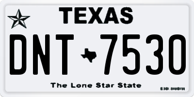 TX license plate DNT7530