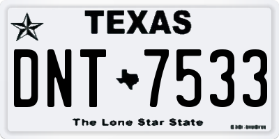 TX license plate DNT7533