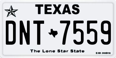 TX license plate DNT7559