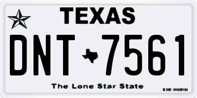 TX license plate DNT7561