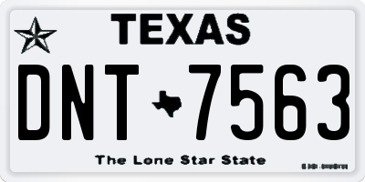 TX license plate DNT7563