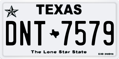 TX license plate DNT7579