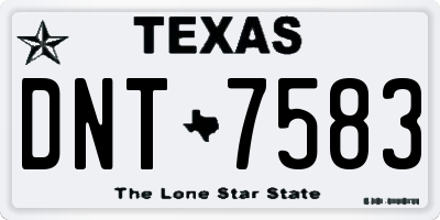 TX license plate DNT7583