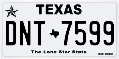TX license plate DNT7599