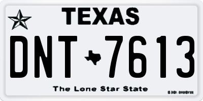TX license plate DNT7613