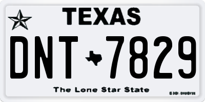 TX license plate DNT7829
