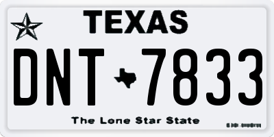 TX license plate DNT7833