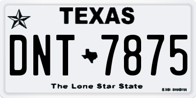 TX license plate DNT7875