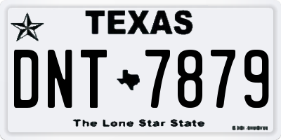 TX license plate DNT7879