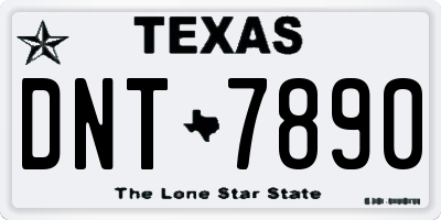 TX license plate DNT7890