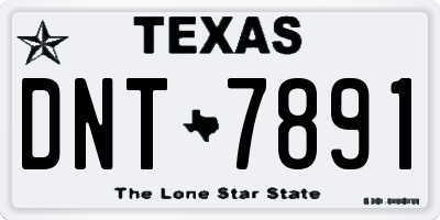TX license plate DNT7891