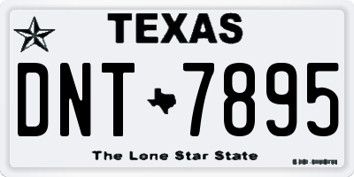 TX license plate DNT7895