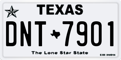 TX license plate DNT7901