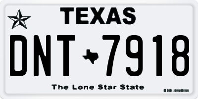 TX license plate DNT7918
