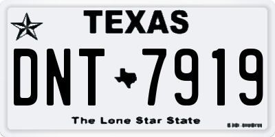 TX license plate DNT7919