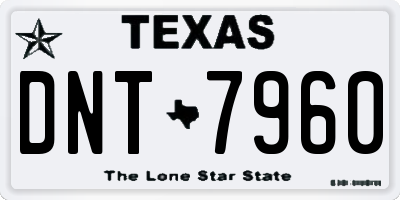 TX license plate DNT7960