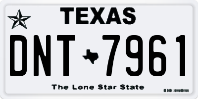 TX license plate DNT7961