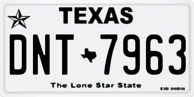 TX license plate DNT7963