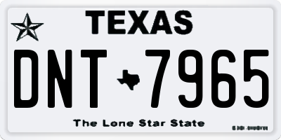 TX license plate DNT7965