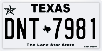 TX license plate DNT7981