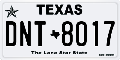 TX license plate DNT8017