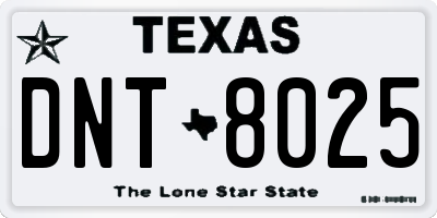 TX license plate DNT8025