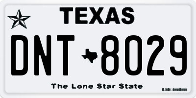 TX license plate DNT8029