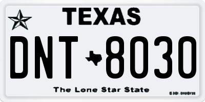 TX license plate DNT8030