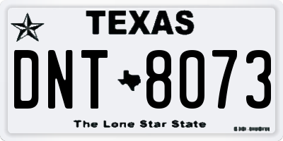 TX license plate DNT8073