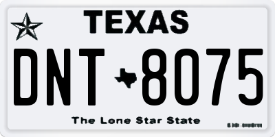 TX license plate DNT8075