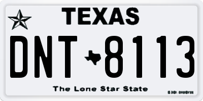 TX license plate DNT8113