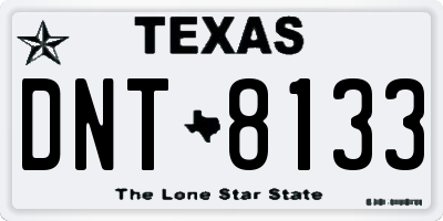 TX license plate DNT8133