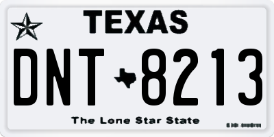 TX license plate DNT8213