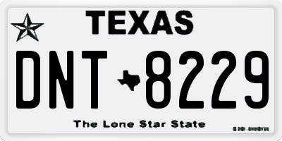 TX license plate DNT8229