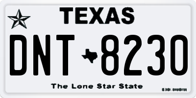 TX license plate DNT8230