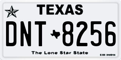 TX license plate DNT8256