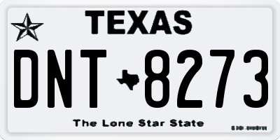 TX license plate DNT8273