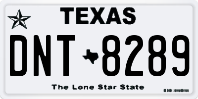 TX license plate DNT8289
