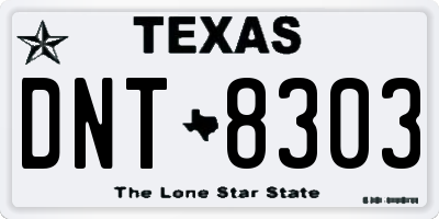 TX license plate DNT8303