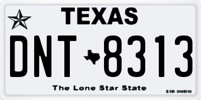 TX license plate DNT8313
