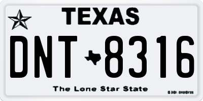TX license plate DNT8316