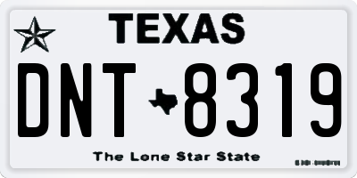TX license plate DNT8319