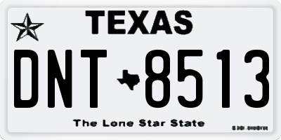 TX license plate DNT8513