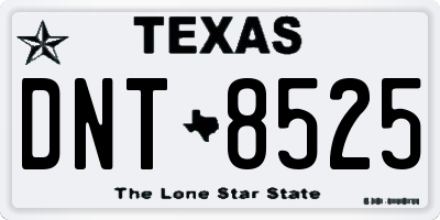 TX license plate DNT8525
