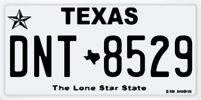 TX license plate DNT8529