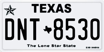 TX license plate DNT8530