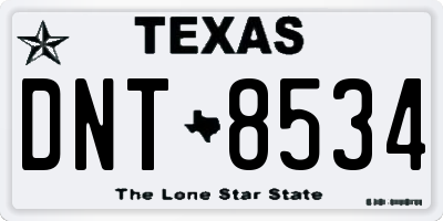 TX license plate DNT8534