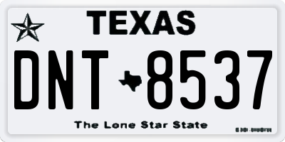 TX license plate DNT8537