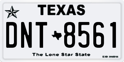 TX license plate DNT8561