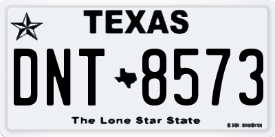 TX license plate DNT8573